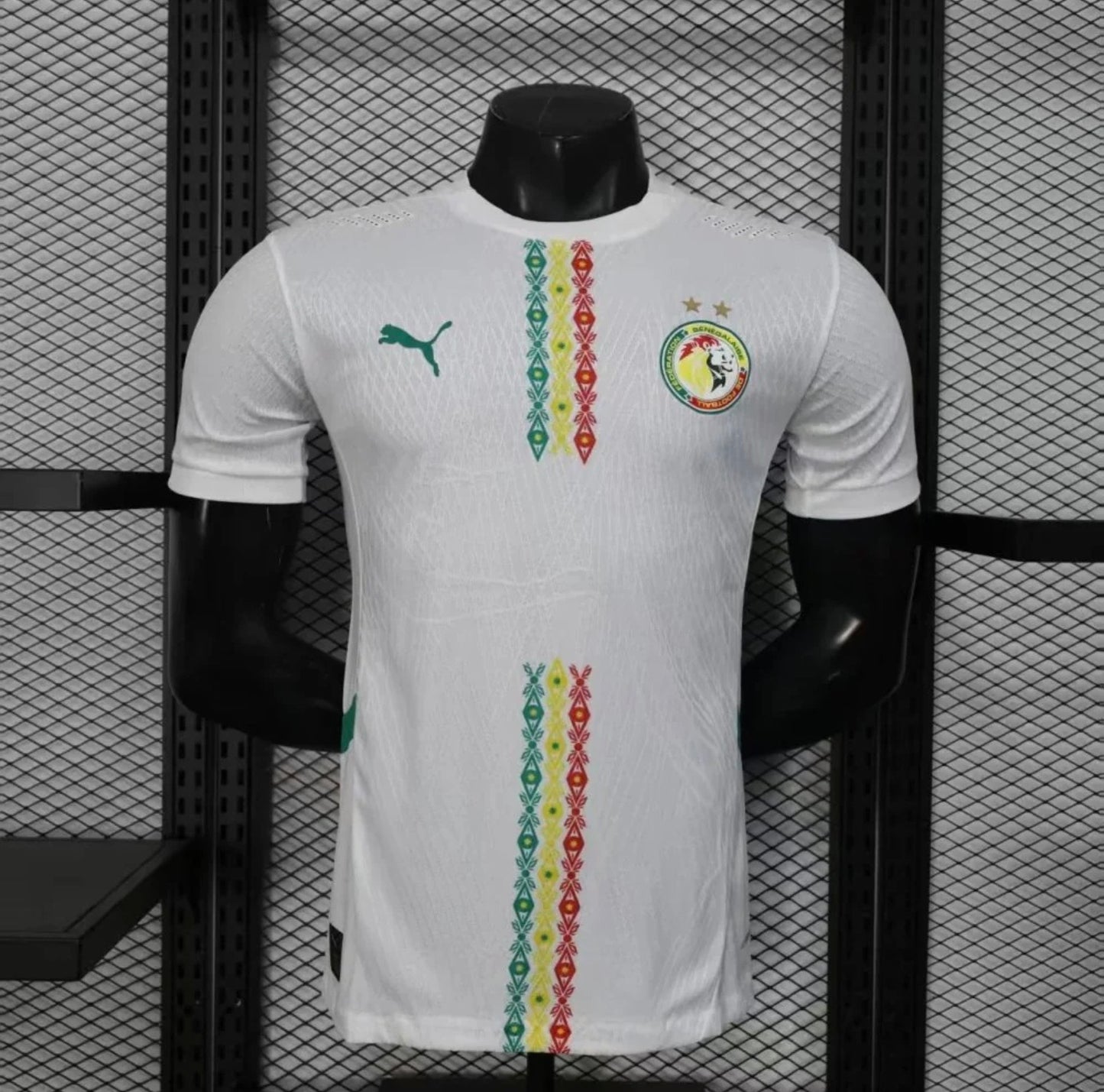 Sénégal EXT Champion CAN 25/26 Players Version